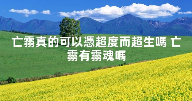 亡霛真的可以憑超度而超生嗎 亡霛有霛魂嗎